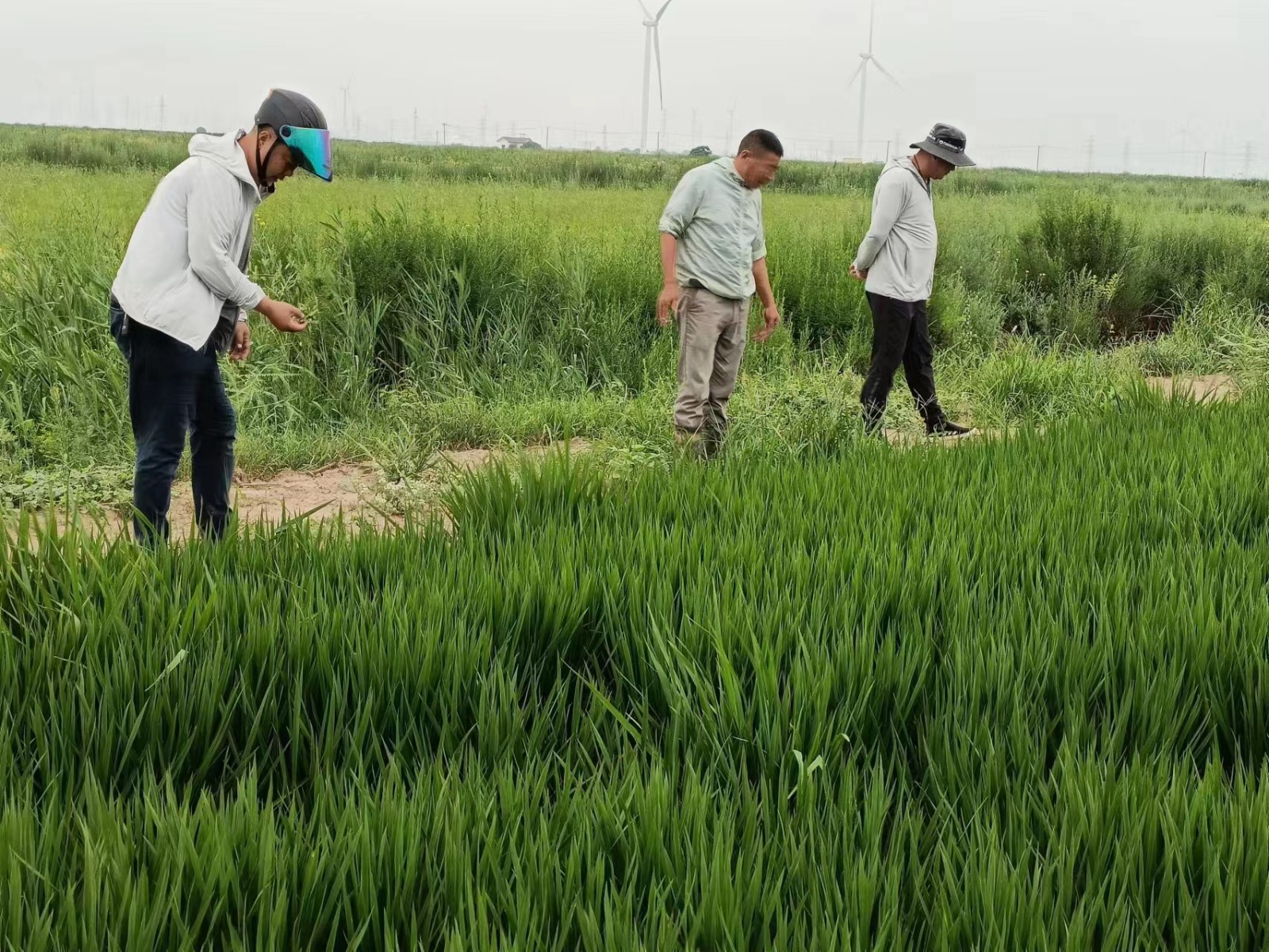 33073E34AFE9889DAC08C48AD2A77E86.jpg 33073E34AFE9889DAC08C48AD2A77E86.jpg